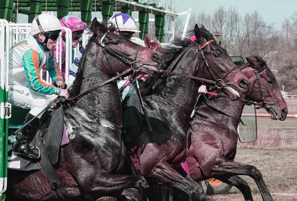 Les avantages des paris à long terme sur les courses de chevaux